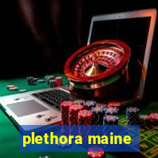 plethora maine