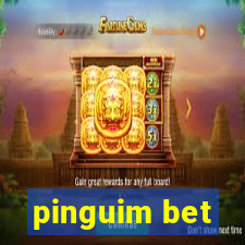 pinguim bet