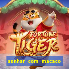 sonhar com macaco o que significa