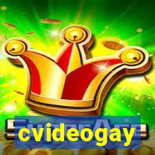 cvideogay